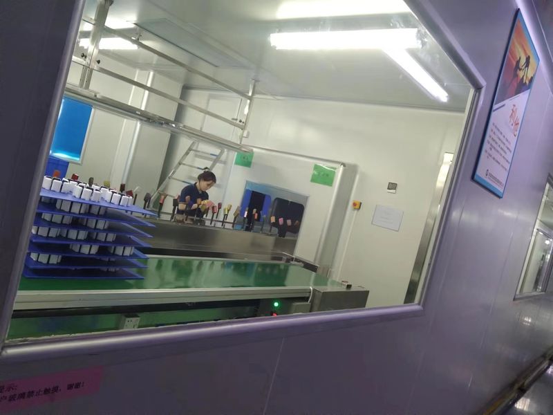 Dongguan JoonPang Plastic Mold Co., Ltd. প্রস্তুতকারকের উৎপাদন লাইন